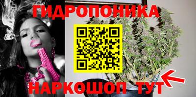 мяу мяу мука Пушкино