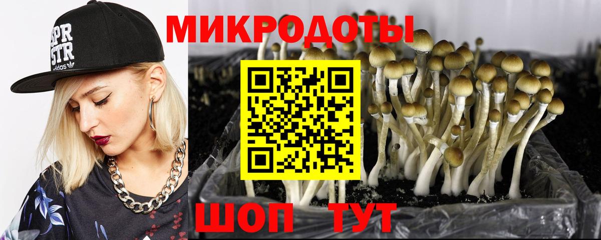 Галлюциногенные грибы ЛСД Ржев